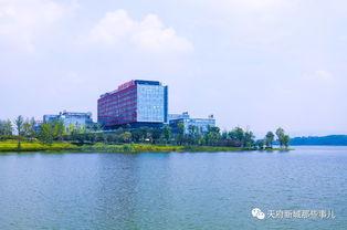 成都白沙湖最新爆料信息,揭秘生态公园蜕变与周边发展新动向