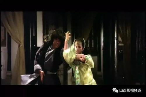 蛇鹤八步在线观看,在线观看，领略中华武术绝学风采