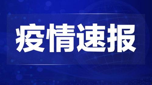 环球爆料焦点事件视频,聚焦热点事件，揭秘幕后真相