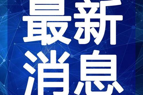 短视频新闻爆料拍摄方式,镜头下的真相捕捉
