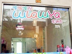 嘉善宠物店爆料视频播放,揭秘宠物行业背后真相