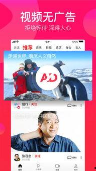 吃瓜现场配音视频下载免费,免费下载带你领略趣味瞬间