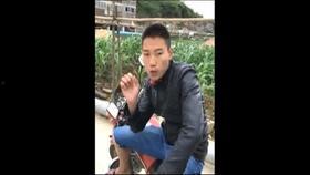 龙门阵爆料视频,揭秘幕后真相，带你走进神秘事件背后