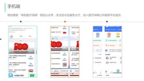 阜阳新闻爆料平台官网,聚焦民生，传递声音