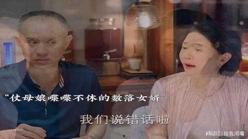 上门女婿在线观看,爱情与现实的碰撞，一段不平凡的婚姻旅程