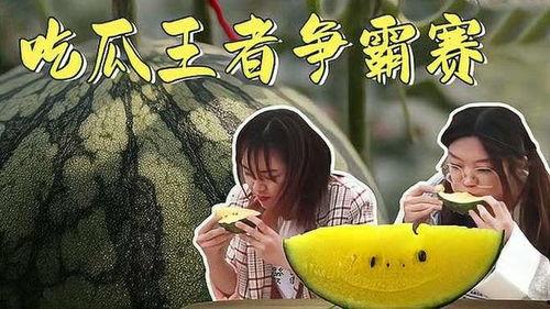 免费吃瓜大赛视频,免费吃瓜大赛精彩瞬间大盘点